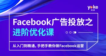 Facebook 在跨境電商中的應(yīng)用實(shí)戰(zhàn) 從引流到轉(zhuǎn)化的全平臺運(yùn)營策略